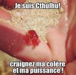 Avatar de l’utilisateur