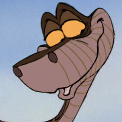 Avatar de l’utilisateur